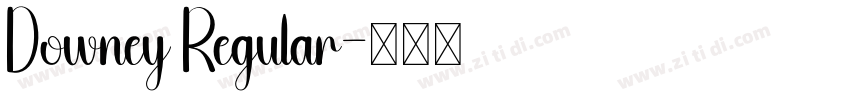 Downey Regular字体转换